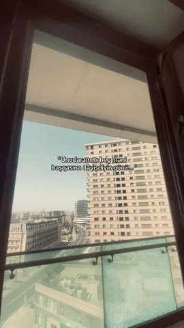 #16.mamedoff_