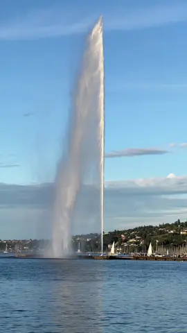 Je tombe chaque jour davantage amoureux de toi, Genève #geneve #🥰🥰🥰🥰❤️❤️❤️ #suisse 
