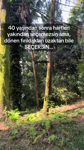 #fy #fypage #fyppppppppppppppppppppppp 