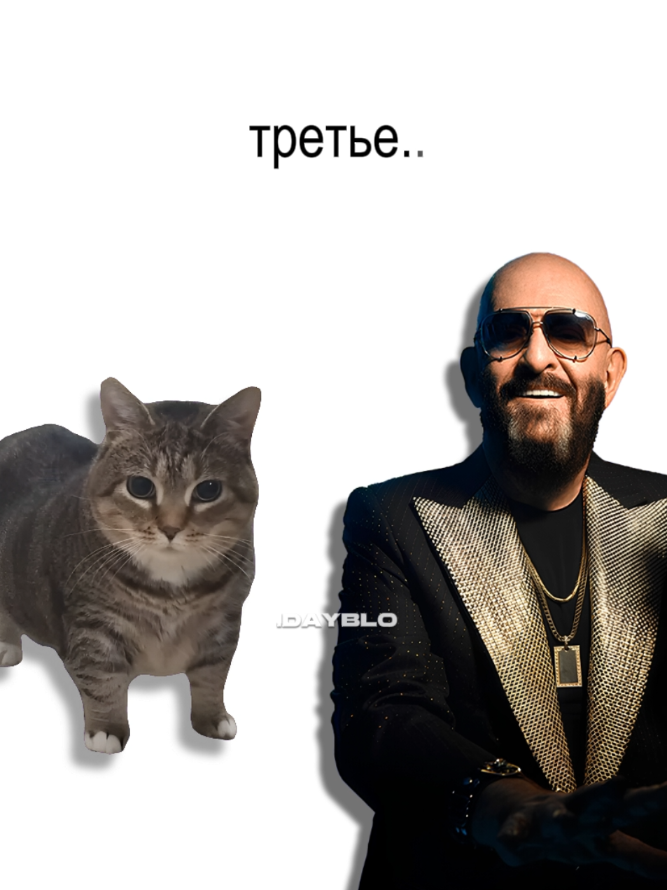 3-е сентября, но это Oiia Cat (UIA) #mashup #cat #шуфутинский #3сентября #oiiaiiooiiai #foryou 