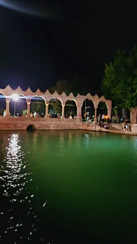 لاتسأل الطيور لماذا غادرت اوطانها بل أسأل الضروف التي جعلتها تغادر 👍🌷🌹💚🤍
