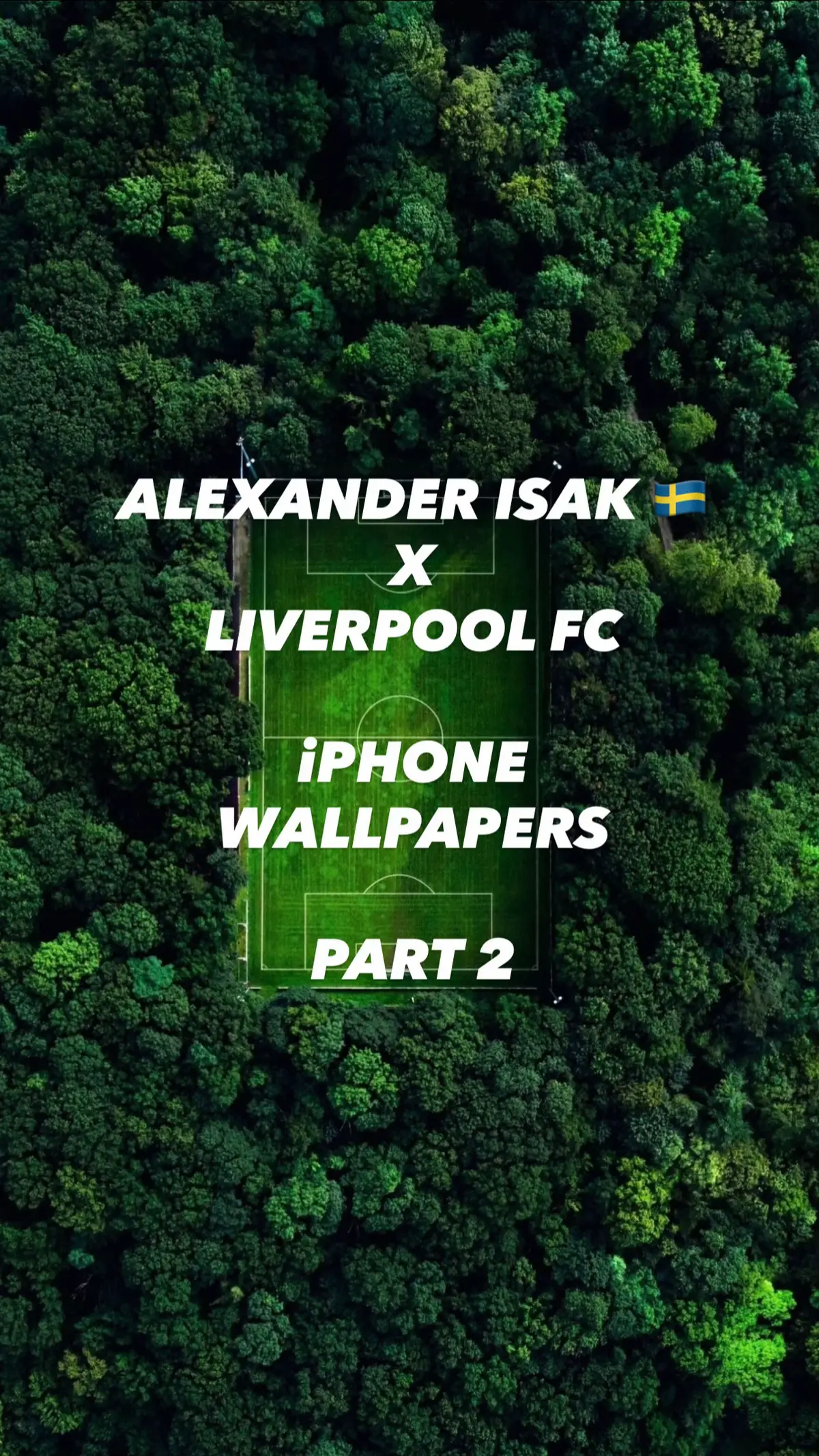 #liverpool #lfc #ynwa #isak #alexanderisak 