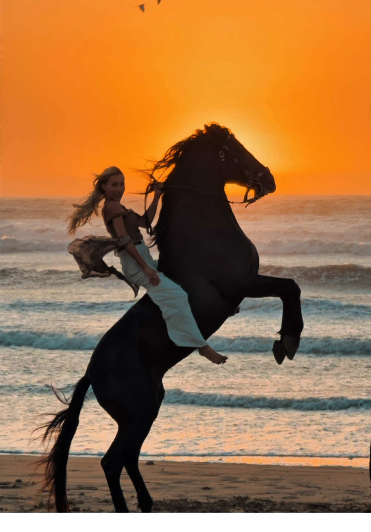 Unstoppable  #foryoupage #morocco🇲🇦 #marrakech #casablanca #horse #fyp #explore #traveltiktok #videoviral #sunset #essaouira #beach 
