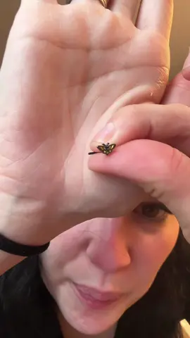 NEVER TAKING THIS OUT!!! Absolutely OBSESSED with this nose stud!!!! #fypシ゚viral #mysteryjewlerygirl #alttiktok #trendingvideo #mysteryjewelryjar 