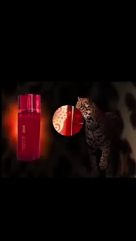 Essence of Terramar para caballero. 💚🤍❤️  Jaguar  Un aroma intenso, elegante y varonil que marca presencia en cada instante. ✨ Ideal para hombres seguros, con carácter y estilo propio. No te quedes sin el tuyo.