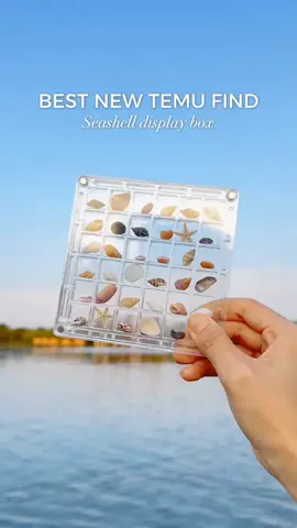 This clear acrylic seashell box turns your beach finds into a mini ocean gallery—perfect for showcasing memories or treasures. 🌊🏖 🔍 Find it at https://temu.to/m/guenjqg49ng #Temu #TemuFinds #HomeDecor