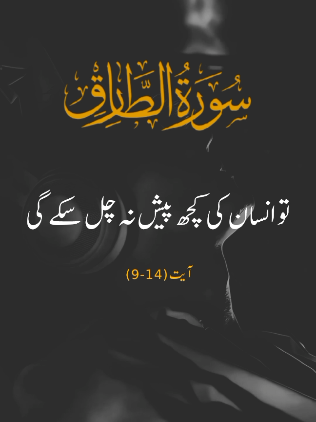Quran Translation #Allah#foryou #trend #viral #foryoupage #quran_karim #urdutranslation #ayatkatarjuma #islam #rightpath #holybook #Allah #deen_e_islam@𝙏𝙧𝙪𝙚 𝙄𝙨𝙡𝙖𝙢 ✨ @Quran Translation 🎧 
