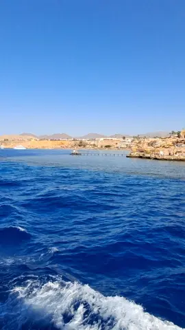 الفنار شرم الشيخ #شرم_الشيخ #Explore #سياحة_عربية #TravelEgypt #foryou 