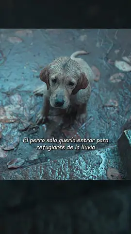 “El amor nunca se desvanecerá,seguirá amándote por mí ”Paciencia y…no podrás contener las lágrimas.#film #movie #foryou #usa #fyp 