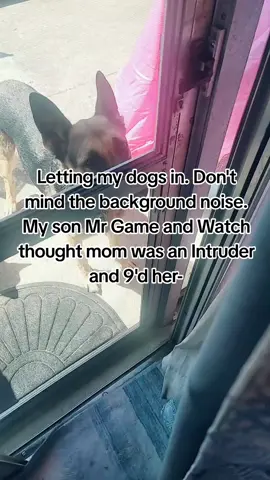 #mrgameandwatch #supersmashbros #shitpost #fyp #viral 