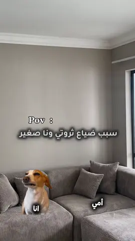 هات نخبيلهالك نجمعهالك😂😂😂😂 #الشعب_الصيني_ماله_حل😂😂 #مشاهير_تيك_توك_مشاهير_العرب #foruyou #fypage #fyp 