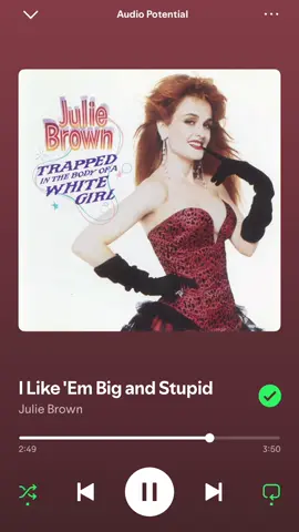I Like ‘Em Big and Stupid by Julie Brown #ILikeEmBigAndStupid #JulieBrown #TrappedInTheBodyOfAWhiteGirl #lyrics #audiopotential 