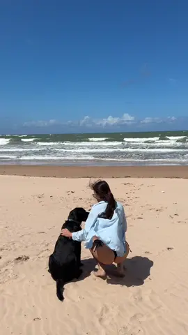 Meu amigo Jorge 🐶 🤍