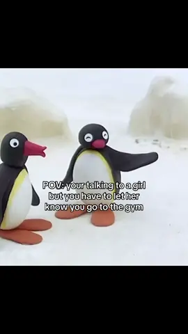 Subtle flex #pingu #nootnoot 