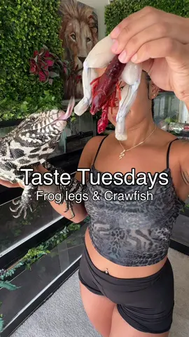 Frog legs and crawfish for Zilla  #tastetuesdays #tegutuesday #tegutastetest #lizardeats #tegu 