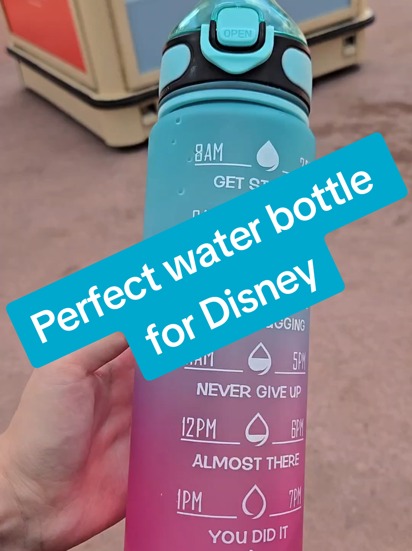 It is important to stay hydrated on long hot days at a Disney Park! This water bottle is perfect to bring to the parks to make sure you are drinking your water. It also has a srap so you can easily strap it to your bag or to a stroller! #disney #disneyworld #water #disneyday #bottle 