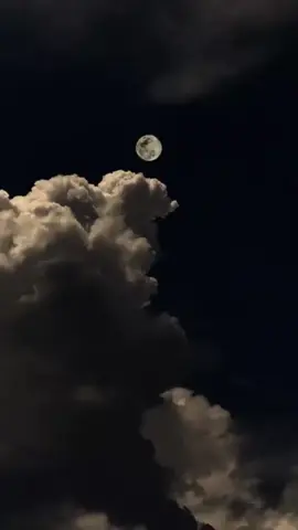 فأنتَ مُنَى قلبي وسُؤلي وبُغيَتي وأنتَ ضِيا عيني اليمين ونورُها وأنتَ أروعُ خلقِ اللهِ في نظري طافت بحُبِكَ يا دُنيايَ أقماري ❤️ #reels 