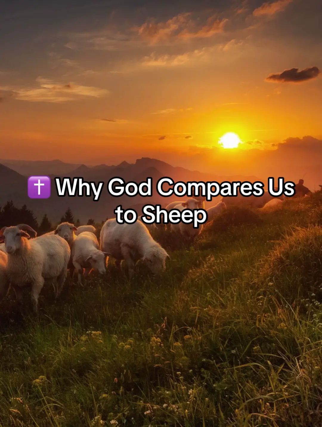 We are like sheep because: we wander, we’re weak without God, we follow the wrong path, we need guidance, protection, healing, and love And Jesus… is the Good Shepherd who lays down His life for us. 🐑✝️ #Jesus #GoodShepherd #TheCreator #JesusIsLord #LordJesus 