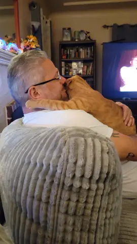 Cash loves his dad🧡🐈😻 #tiktokcats #Orangecat #Catdaddy #orangetabby #cat @Marco Maravilla572 