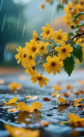 #الأخلاق #الا_وإن_في_الجسد_مضغة 