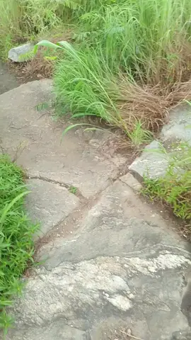 #viraltiktok #live#blessed 