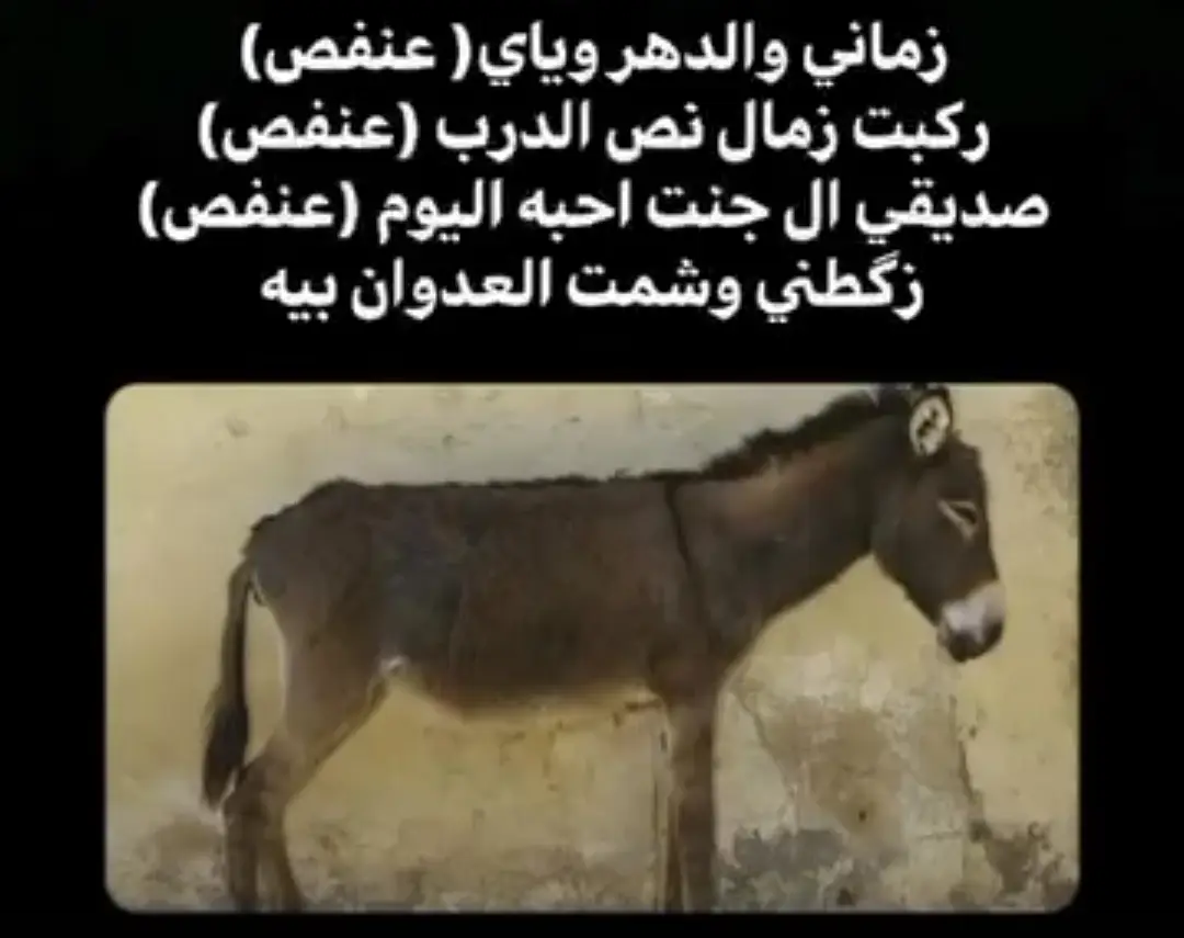 😂💔