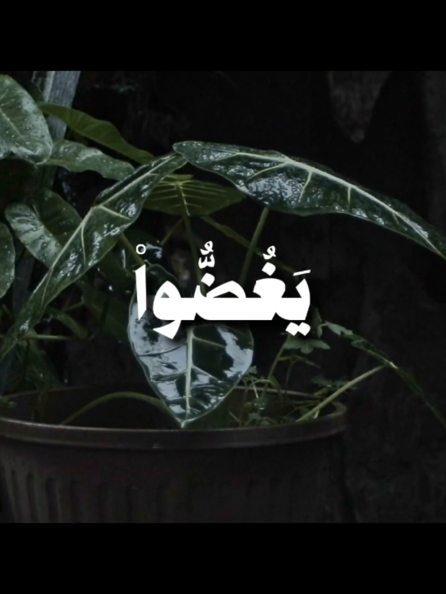 { قُلْ لِلْمُؤْمِنِينَ يَغُضُّوا مِنْ أَبْصَارِهِمْ وَيَحْفَظُوا فُرُوجَهُمْ } [سُورَةُ النُّورِ: ٣٠] القارئ: محمد صديق المنشاوي  . . . #قرآن #quran #قران_كريم #المنشاوي #محمد_صديق_المنشاوي 