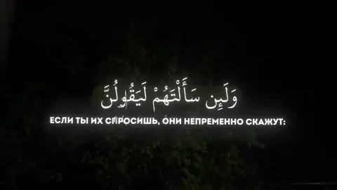 Махди Аш-Шмшани Сура Ат-Тауба Аяты 65-66 #коран #quran #القران_الكريم 