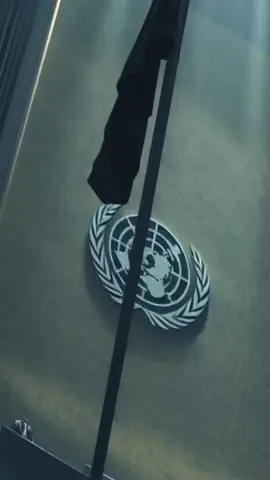 the stark contrast in UN responses to global conflicts and the implications of power dynamics. #UN #Justice #Genocide #Gaza #GlobalPolitics