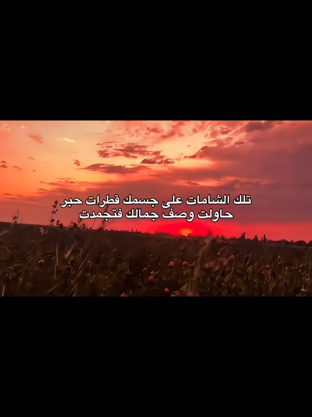 #حب #viral #foryou #اقتباسات_عبارات_خواطر #explore 