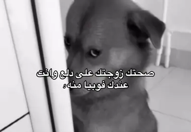 هههههههه #اكسبلور؟ #رياكشن #الدواسر #نوره_الدوسري #وادي_الدواسر 