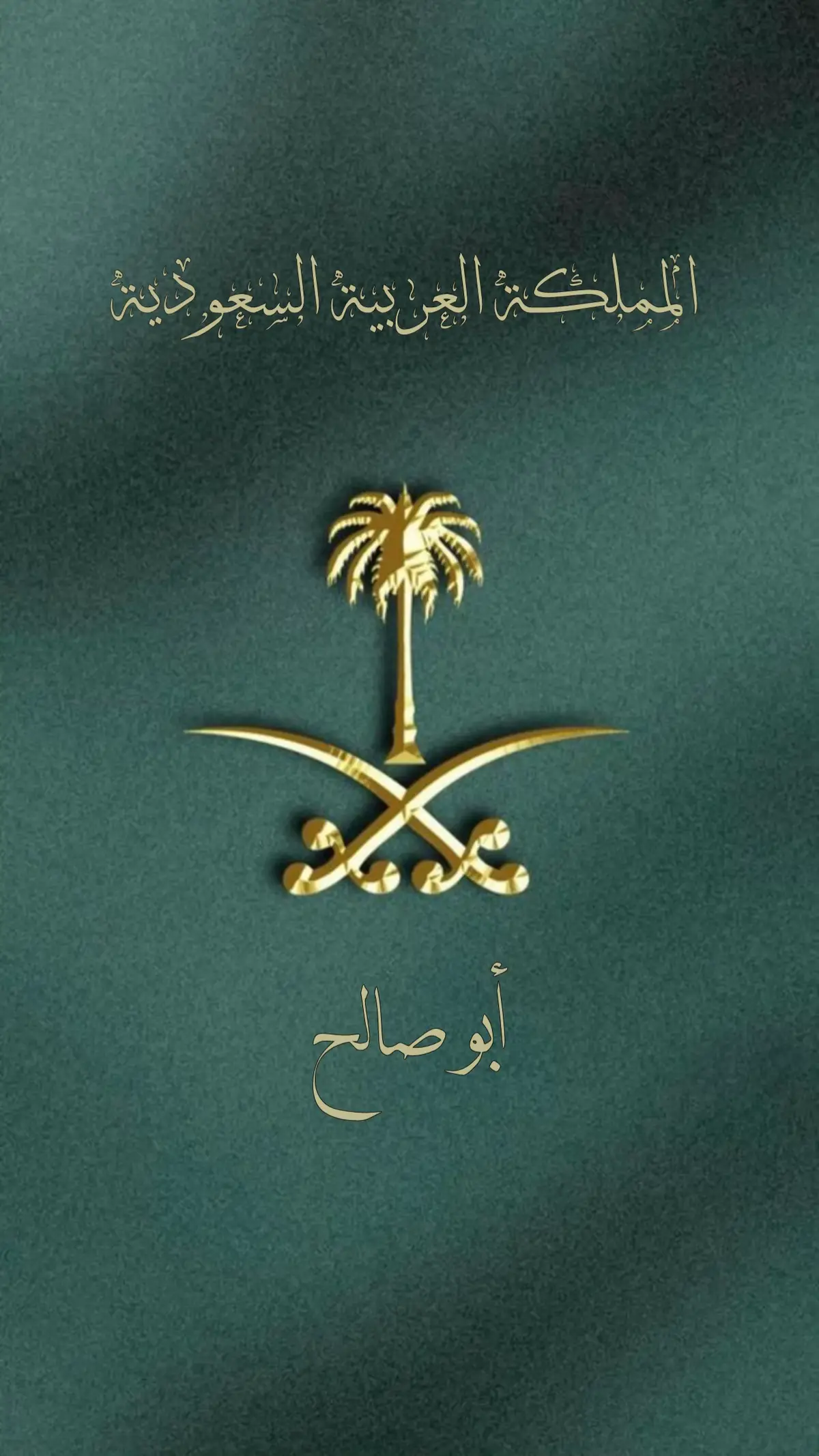 #سيف #نخلة #السعودية #اليوم_الوطني_السعودي_95 #اكسبلورexplore 