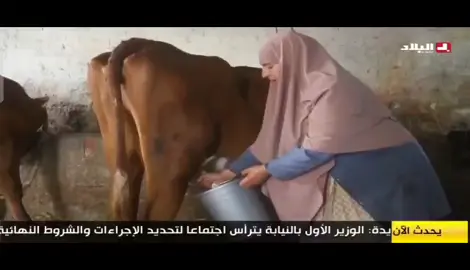 #صناعت السيارات 