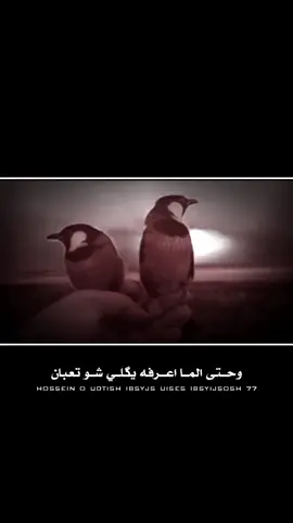 #ستوريات_حزينه💔🥺عبارات