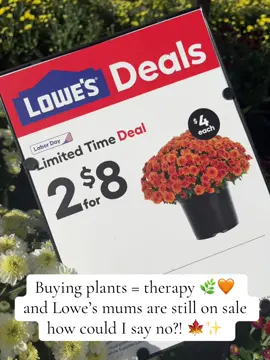 There’s nothing like a cart full of fall mums to brighten your day and your porch. The best part? Lowe’s still has their deals going strong. Who else uses plant shopping as retail therapy? 🙋‍♀️ @Lowe’s  #LowesDeals #MumsTheWord #PlantTherapy #FallMums #GardenTikTok   