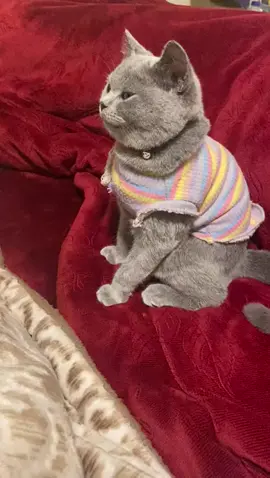 #يزن_حمدان 