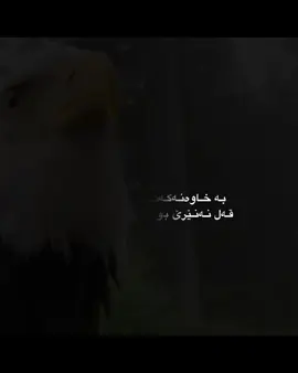 بە خاوەنەکەت بڵێ جارێکیتر قەل نەنێرێ بۆ راوی داڵ..”🖤#توبزاوا #viral #foryou #foryoupage #تایبەت_مەحو 