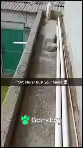 #viral #trending #animals #catsoftiktok #cats 