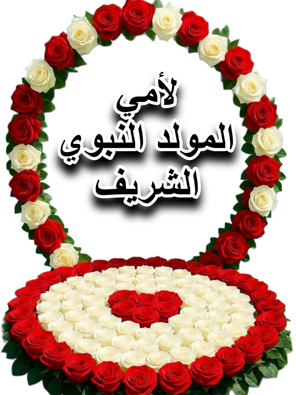#أمنيتي_لامي_بالمولد_النبوي_الشريف #تهنئة_بالمولد_النبوي_الشريف #طلع_البدر_علينا #صلوا_على_رسول_الله #ذكرى_المولد_النبوي 