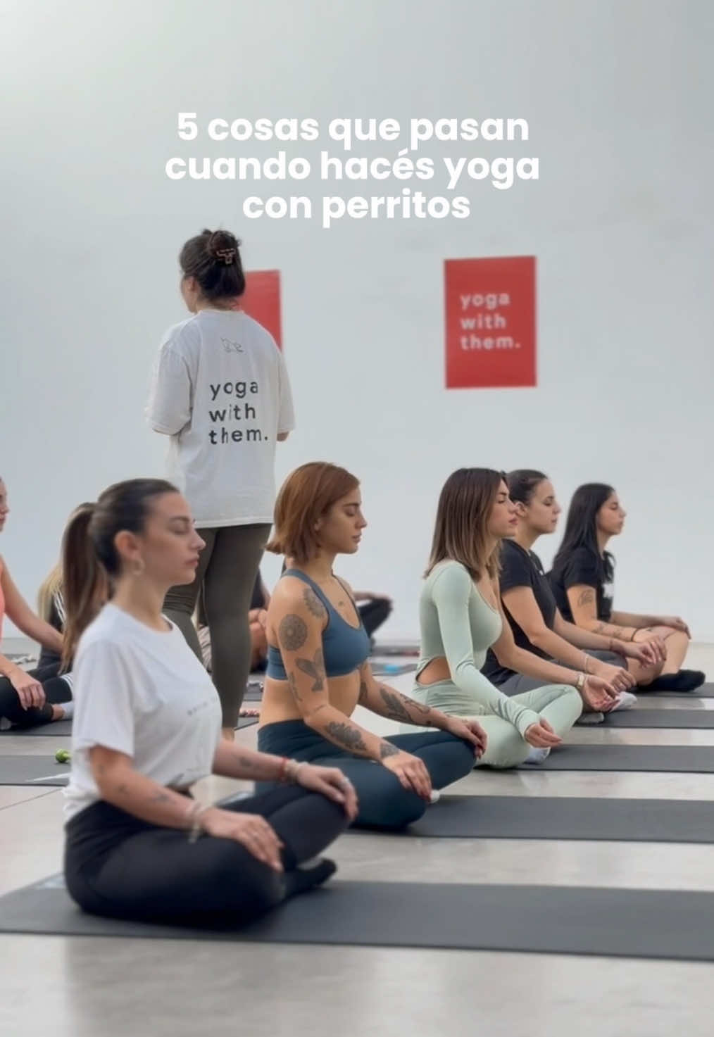 Advertencia: nuestra experiencia te puede robar el corazón 💖🐾 #fyp #yoga #yogaconperritos #adoptanocompres