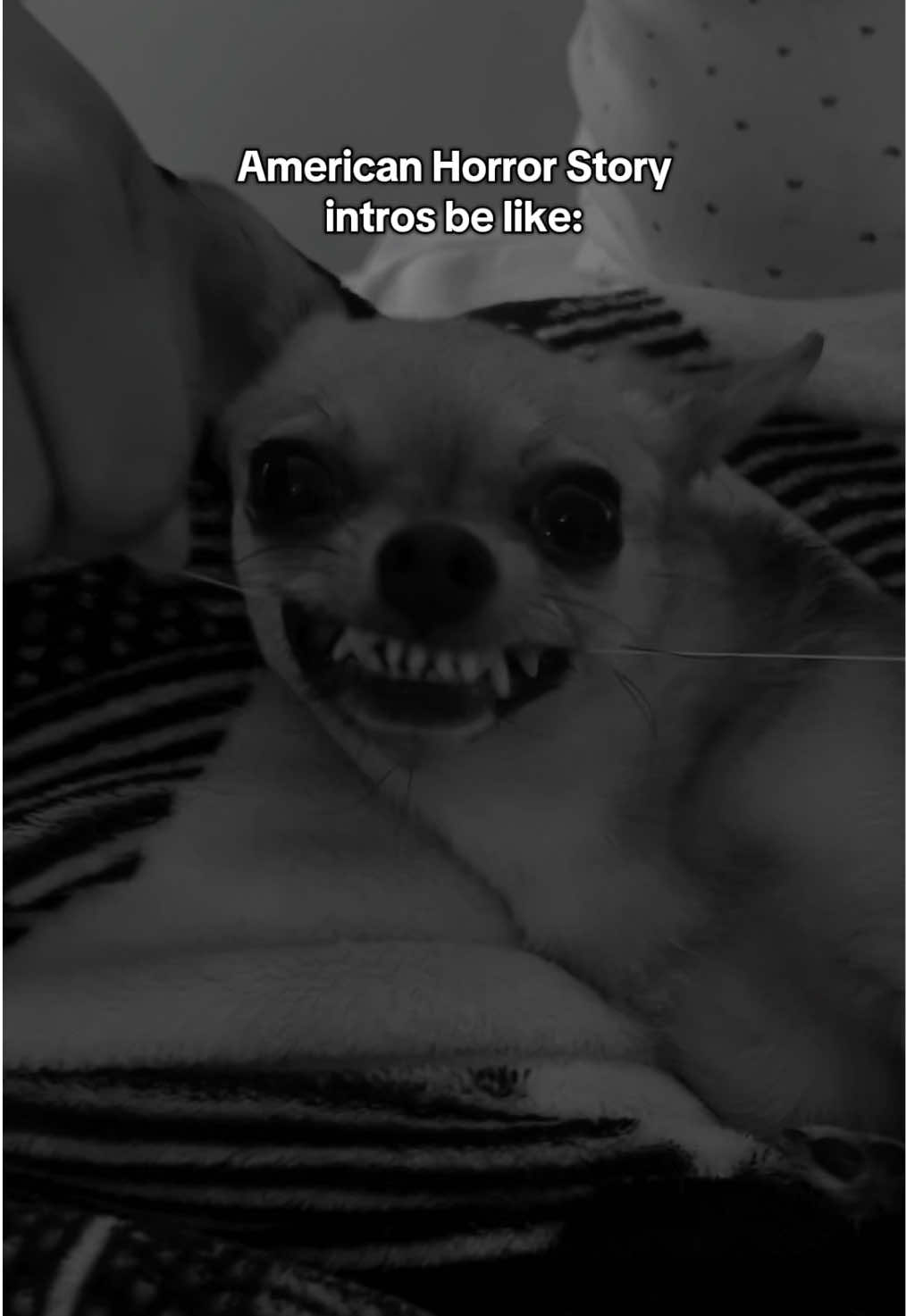 guys i’m scared #horror #ahs