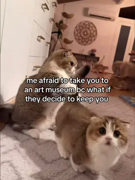 like fr #fyp #Relationship #catsoftiktok #meme #couple  