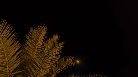 #تصويري #غيث_صباح 