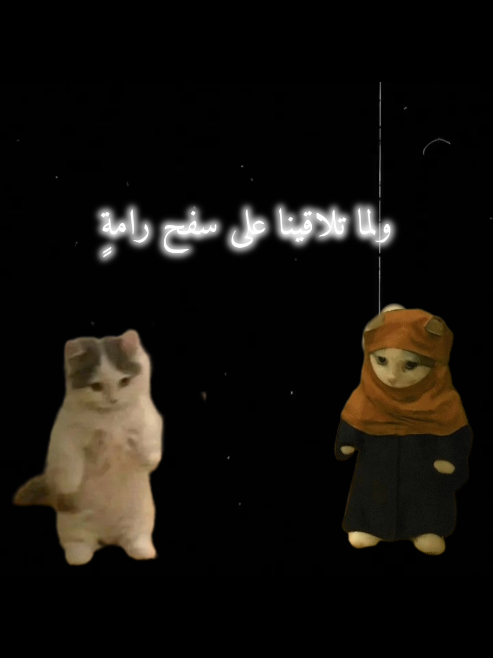 الجديد شديد . . . . . . . . . . . . . . . . . . . . . ... . . . . . . . . #tiktok #islamic_video #fyppppppppppppppppppppppp #viral #cat 