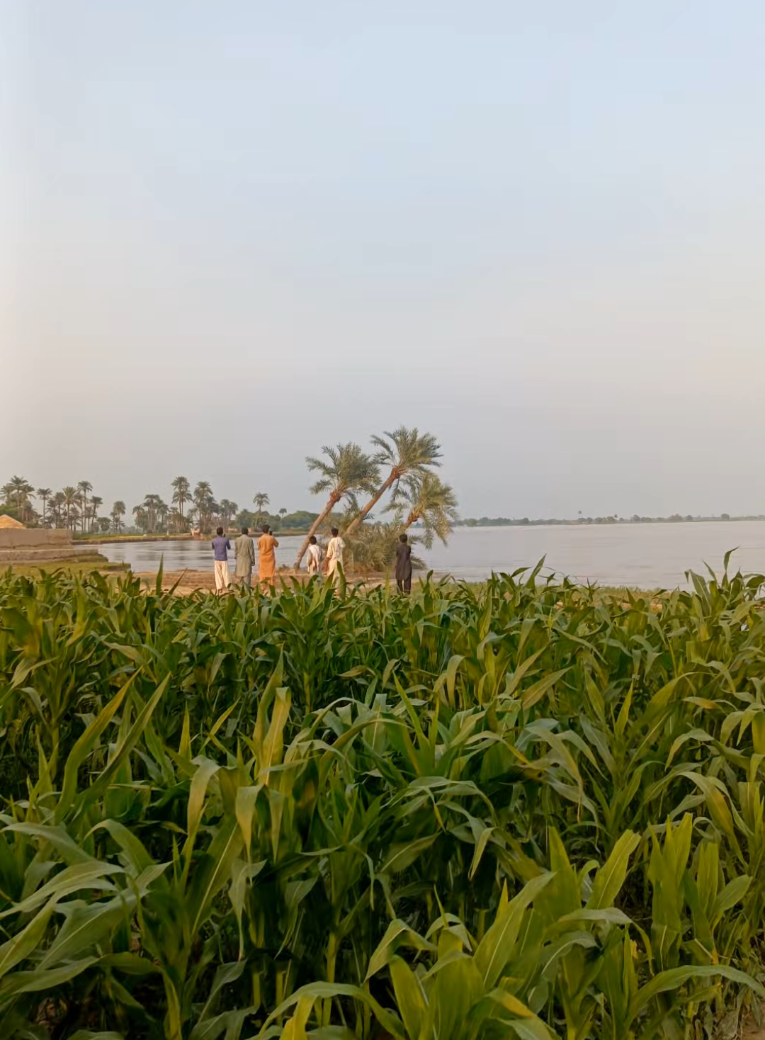 Sutlej River #sutlejriver 