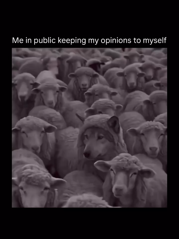 Let them think you’re soft. Wolves love that game. #villainarc #motivation #creatorsearchinsights #motivationdaily #nyc #usa #dailymotivation #fyp #mentalityovereverything #growth #successmindset