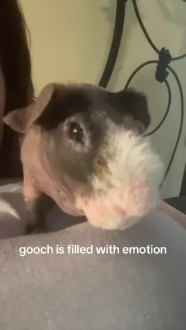 gooch goin through it fr💔