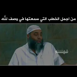 #الشيخ_ابو_طلحة 
