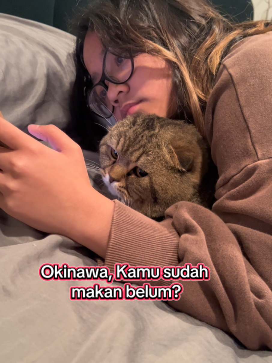 Update terbaru kucing Cinta Kuya @cintakuya Uya kuya belum ketemu 9 #kucing #kucinguyakuya #dpr #demo #catloversindonesia 