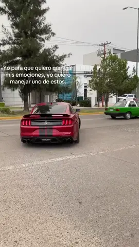 🏎️💨 #fyp #deportivos #viral #tiktok #shelby 
